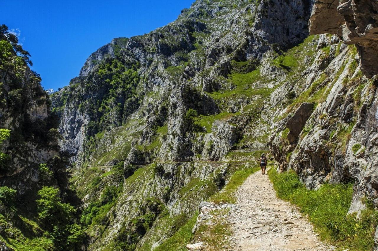 El Mirador De Meron Сан-Висенте-де-ла-Баркера Экстерьер фото